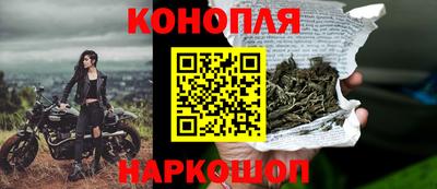 мяу мяу мука Кунгур
