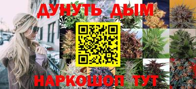 мяу мяу мука Кунгур