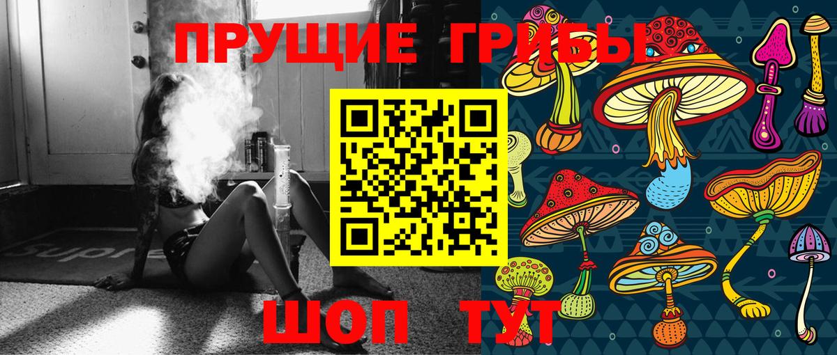 Галлюциногенные грибы Psilocybe  Вход с VPN  закладка  Городец 